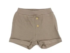 Name It shorts fungi